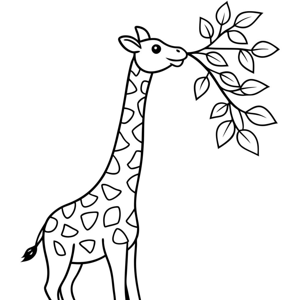 a tall giraffe reaching up to eat leaves from a tree, illustration line art vector
