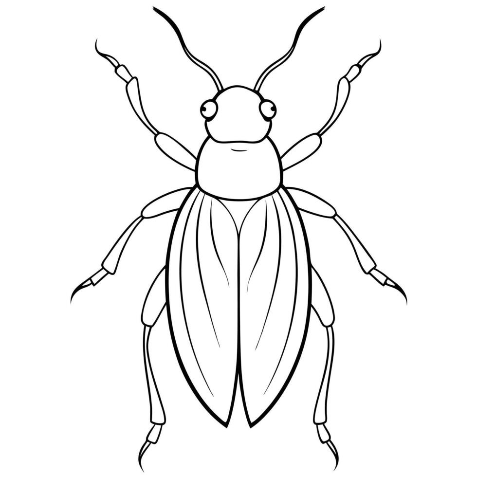 insect, illustration line art vector