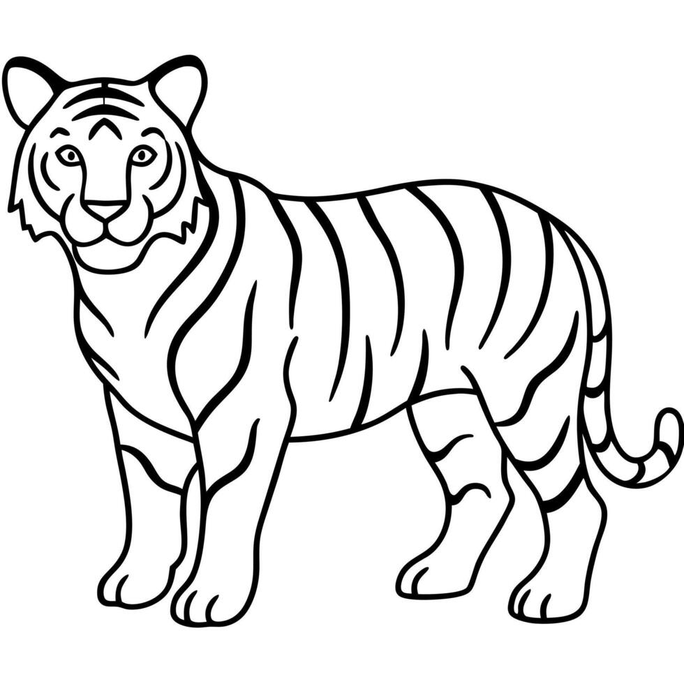 tiger stroke line art , white background, illustration line art vector