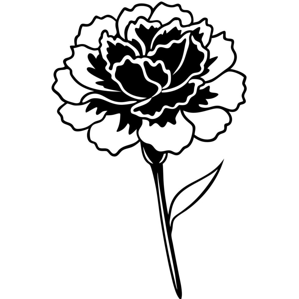 an image of carnation silhouette with a white background, illustration line art vector
