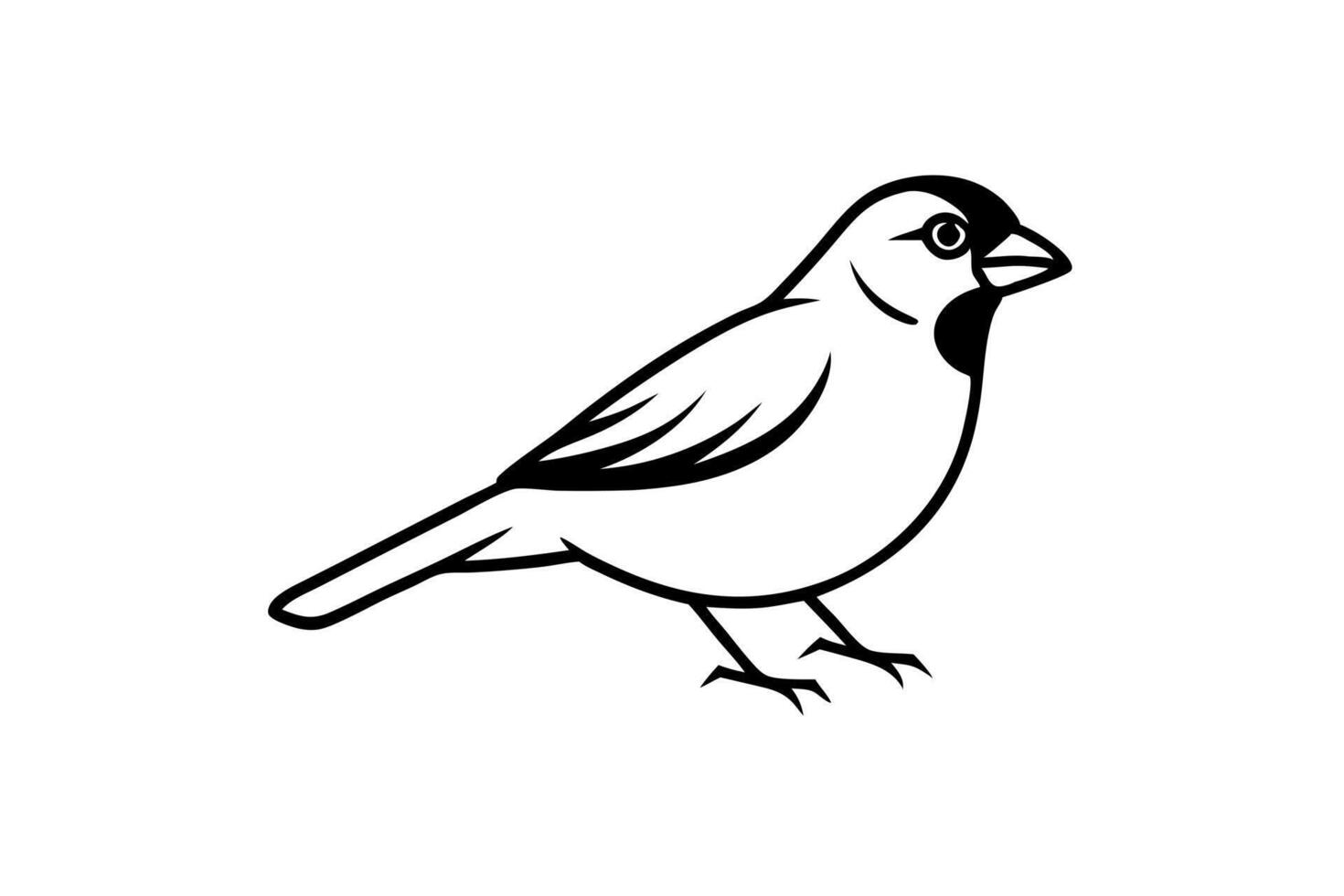house sparrow icon on white background, illustration line art vector