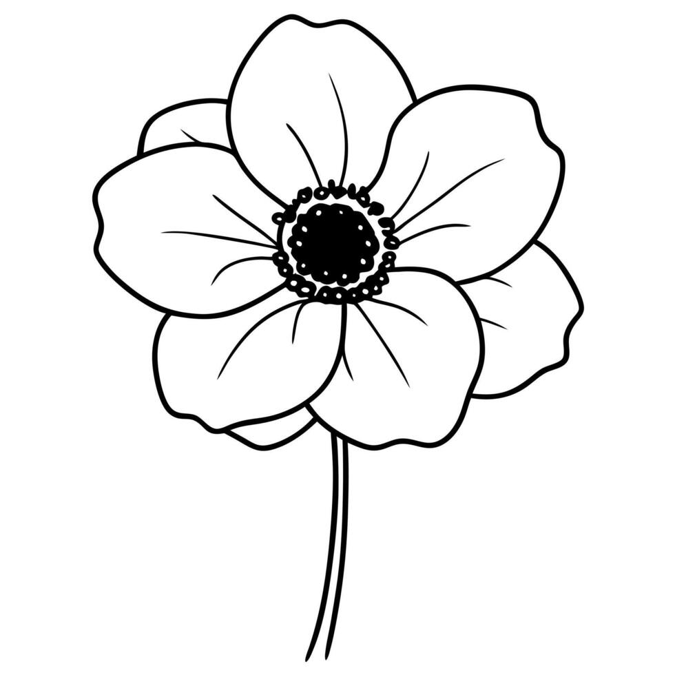 anemones flower, illustration line art vector
