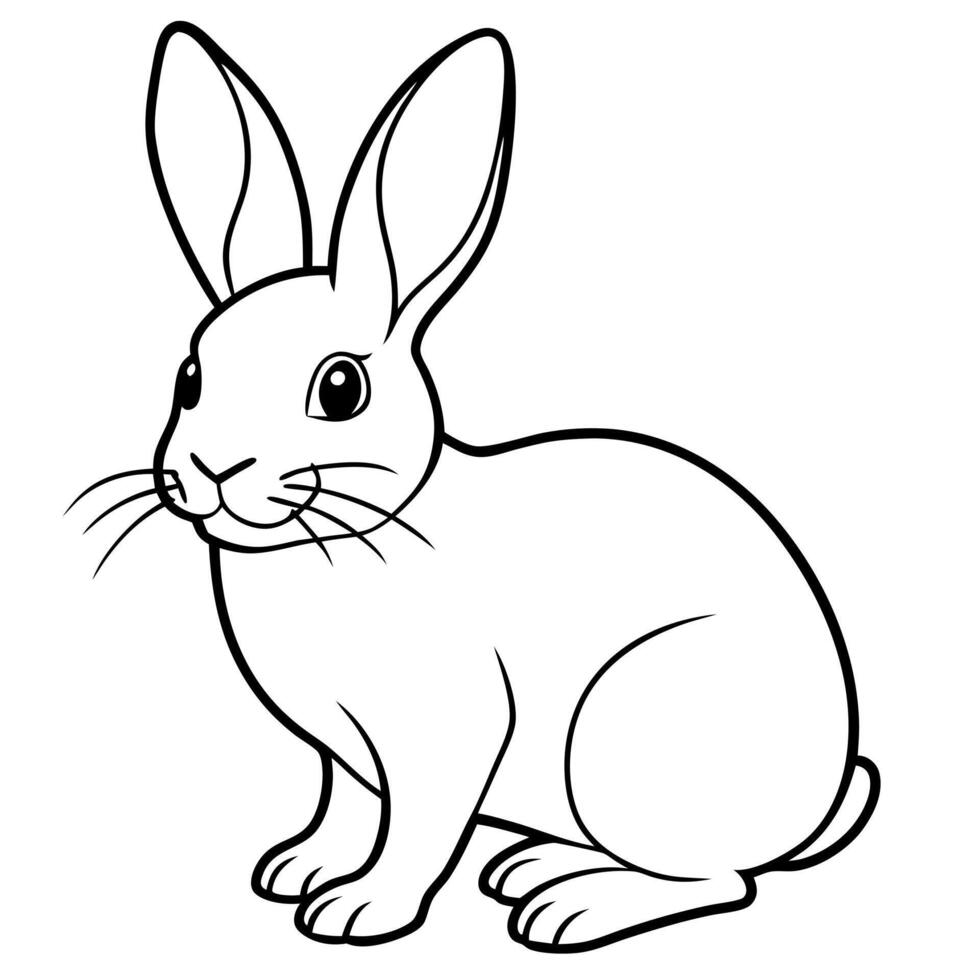 rabbit line art on white background, illustration line art vector