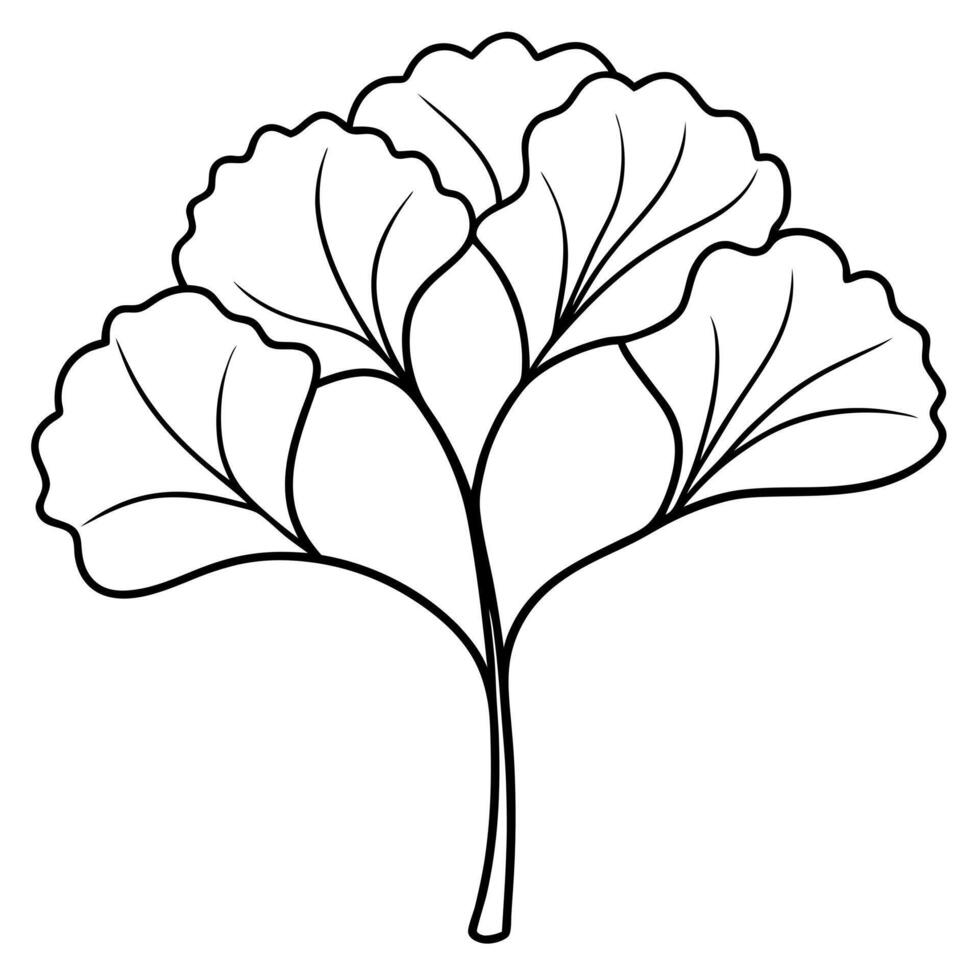 ginkgo biloba tree, illustration line art vector