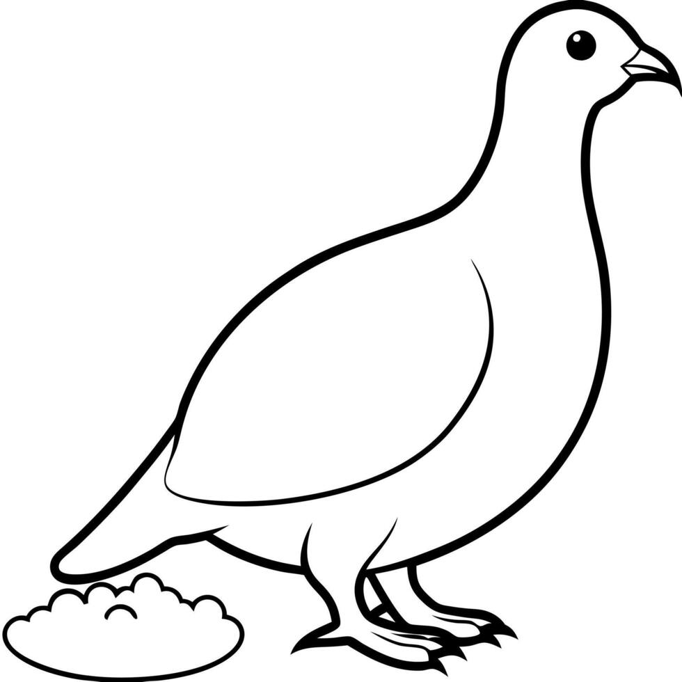 a ptarmigan bird is eating its food, illustration line art vector