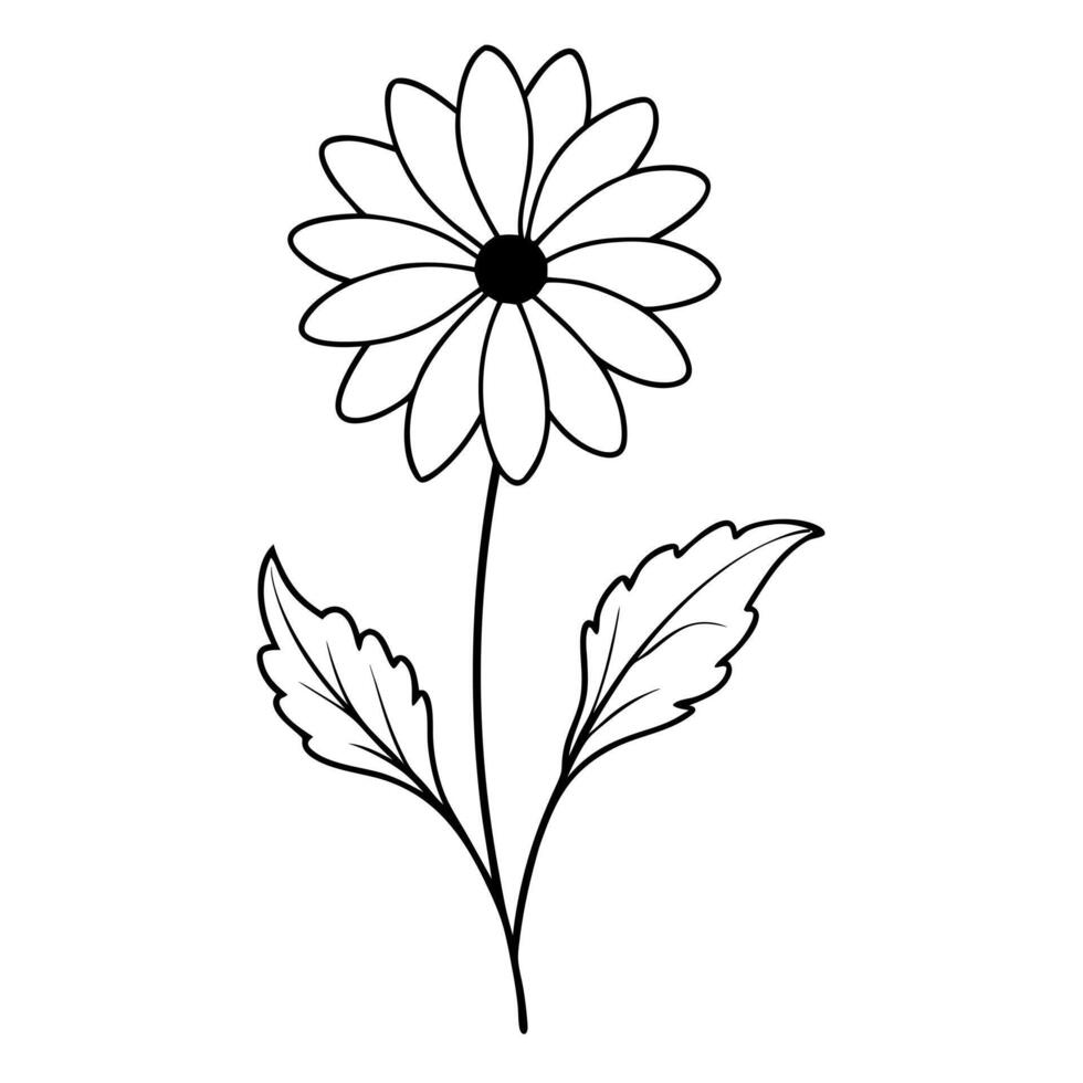 chamomile, illustration line art vector