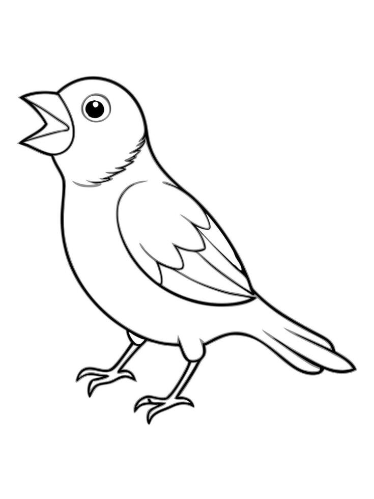 a small, delicate bird with a slender beak, known for its beautiful singing voice canaries are vector