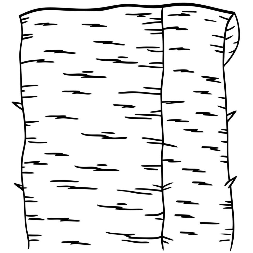 birch bark texture surface pattern, illustration line art vector