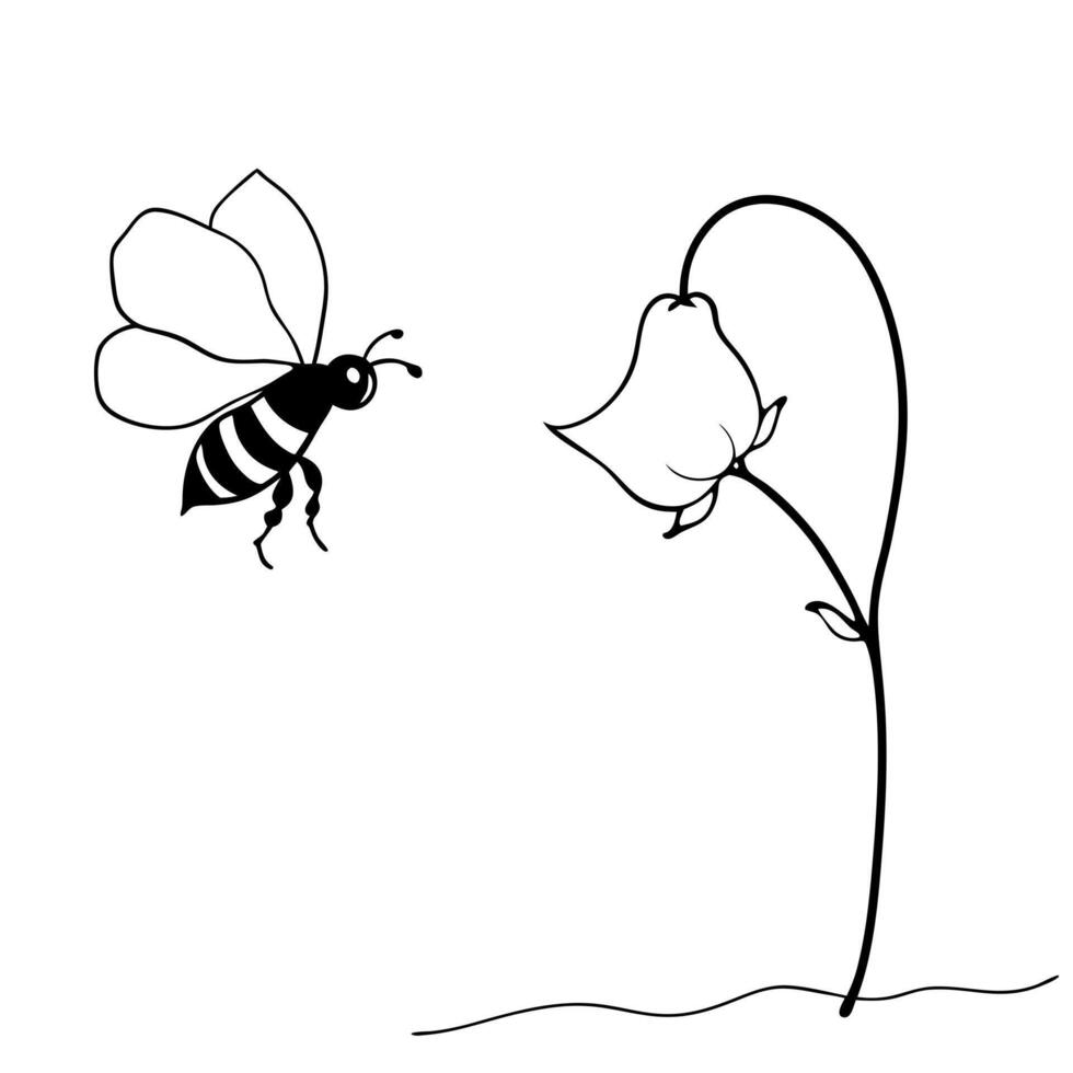 a bee is extracting honey from a sweet pea flower, illustration line art vector