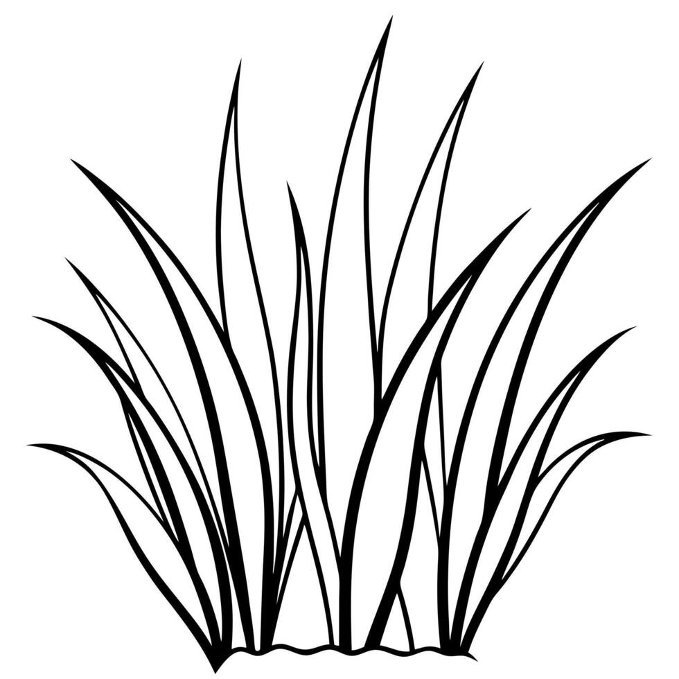 grass no color pages, illustration line art vector