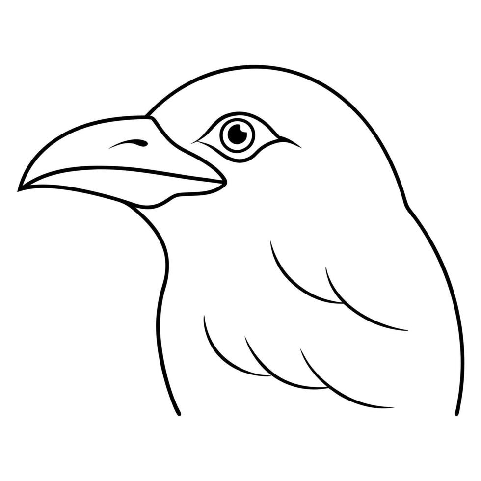 american crow head line art on white background, illustration line art vector