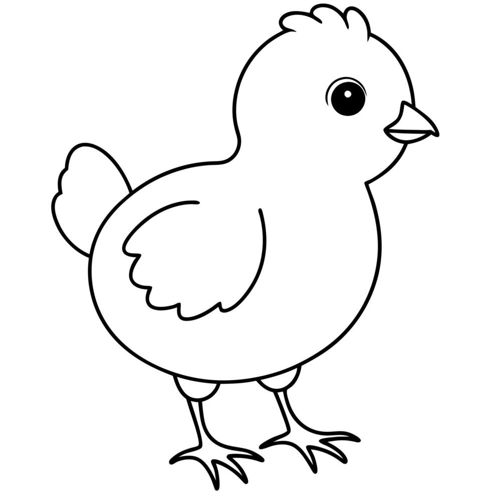 little chick, illustration line art vector