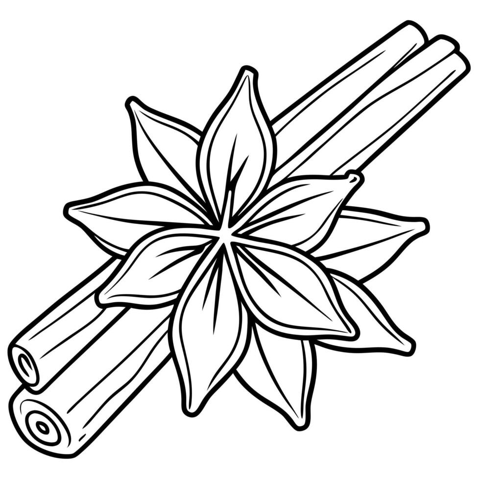 cinnamon, top view, illustration line art vector