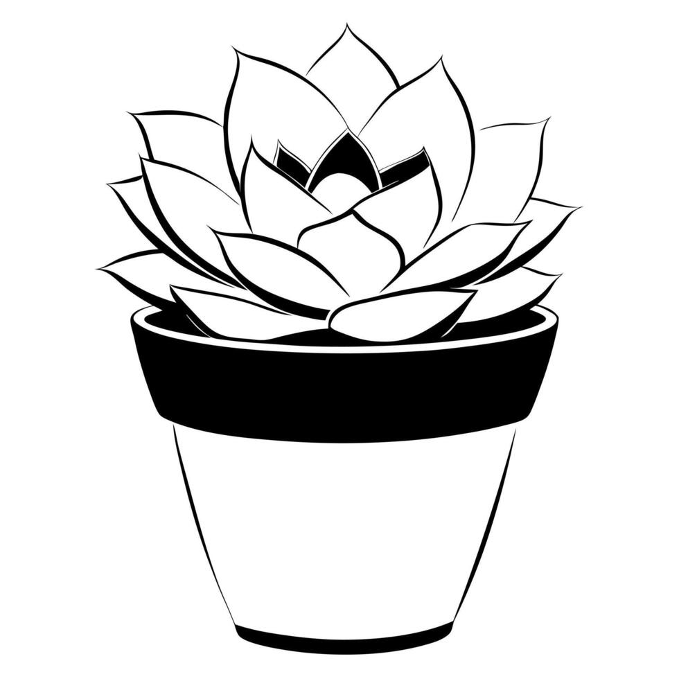 succulent, illustration line art vector