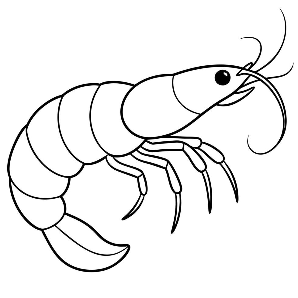 a coloring page of an prawn with no color just black lines, illustration line art vector