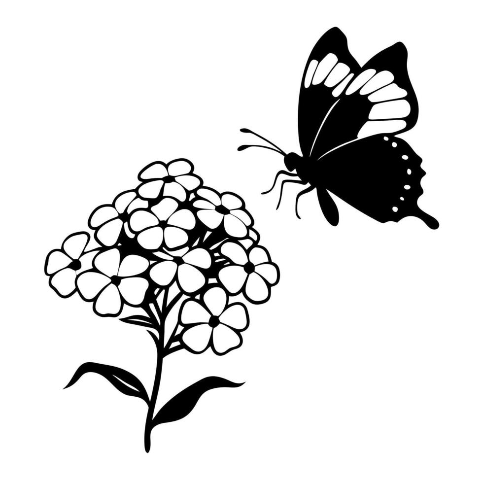 a butterfly is extracting nectar from a phlox flower, illustration line art vector