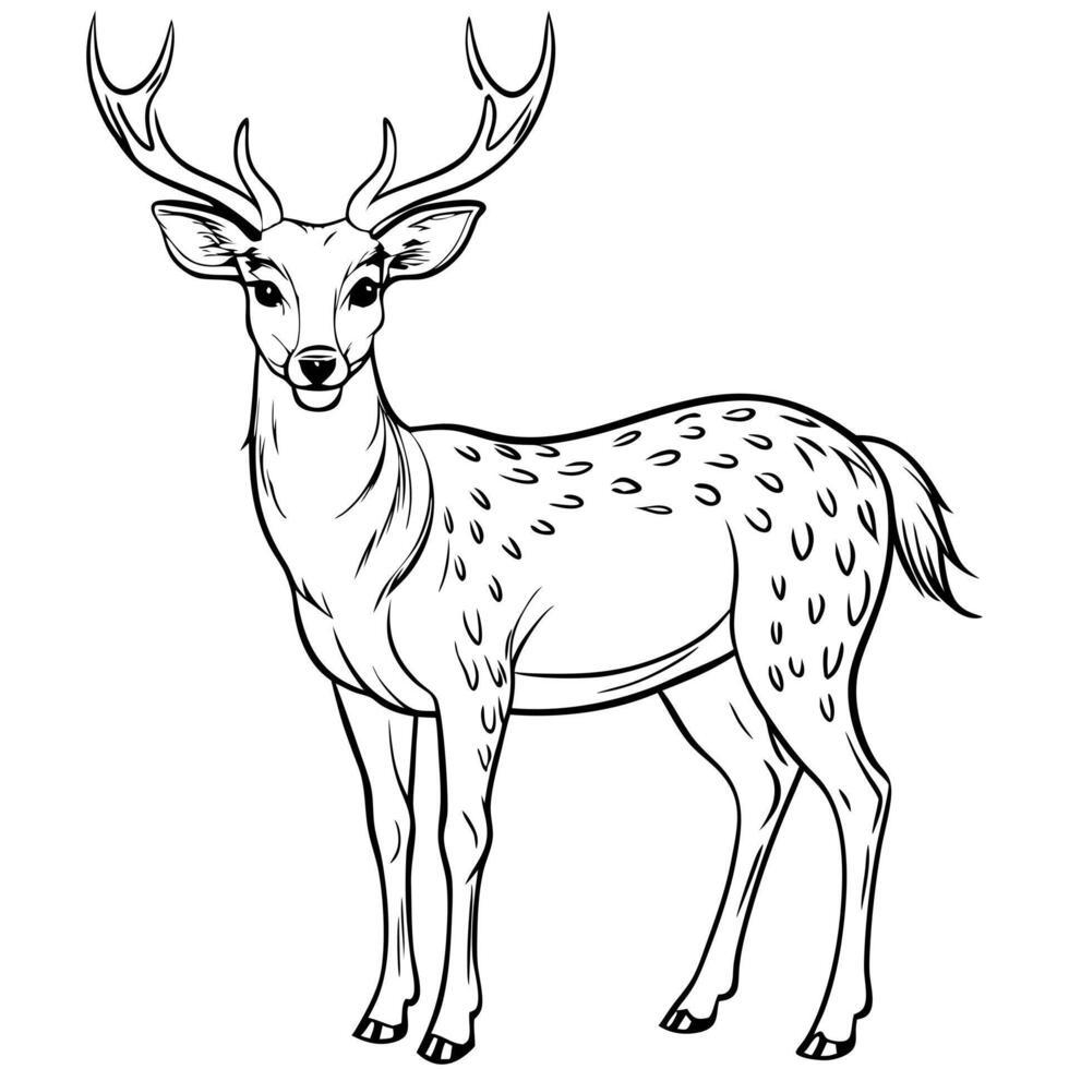 deer, illustration line art vector