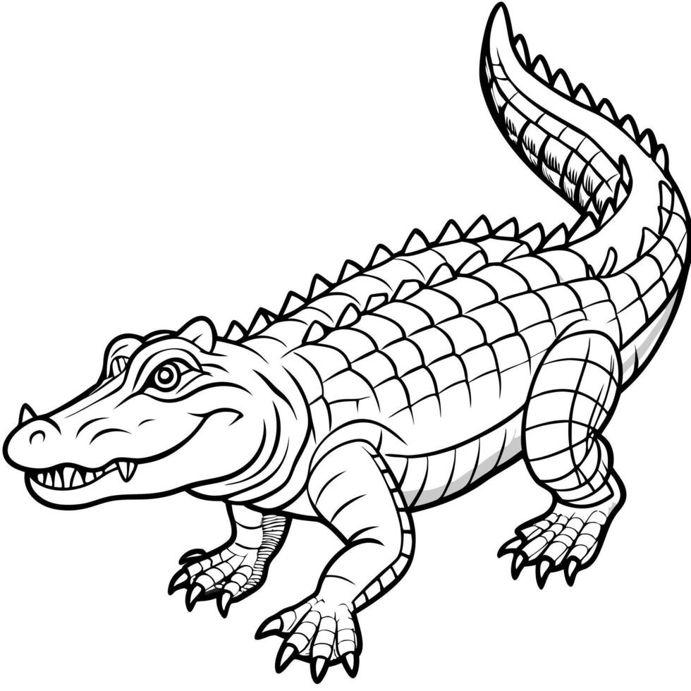 a crocodile , full view , illustration line art vector