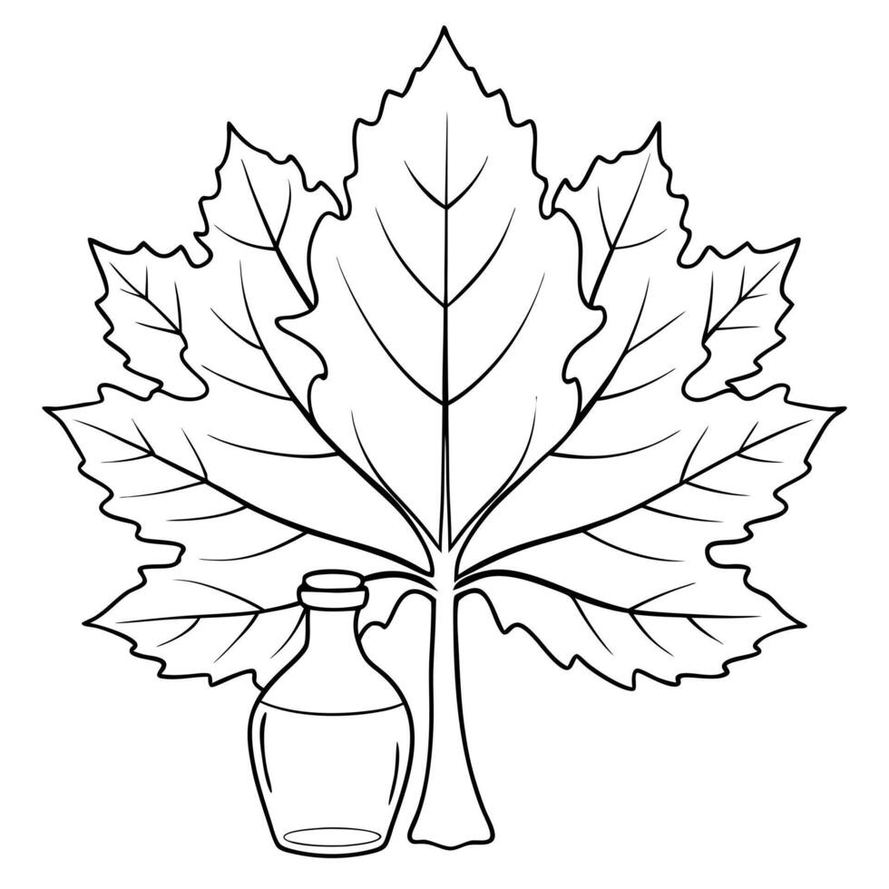 maple, illustration line art vector