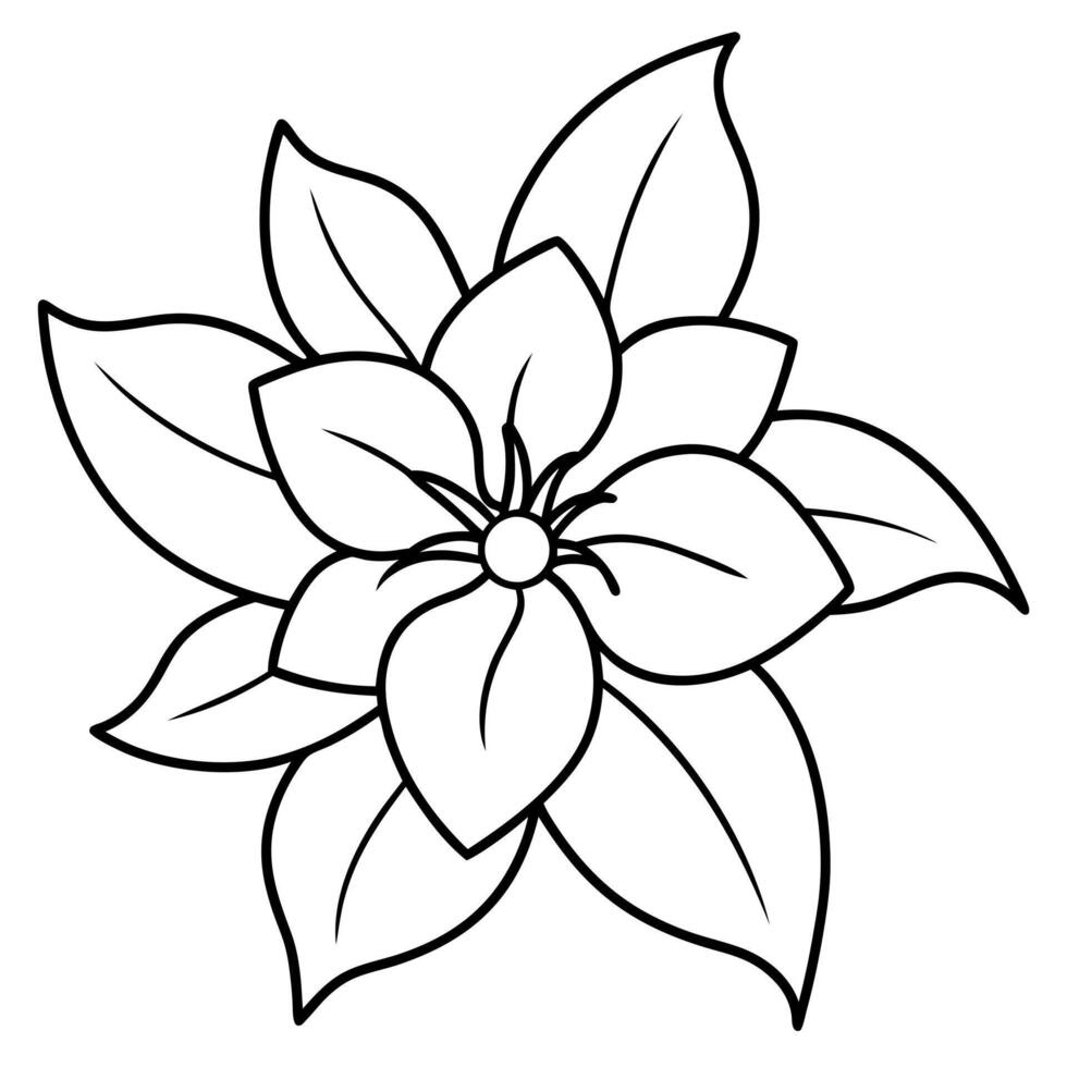 simple jasmine flower drawing, illustration line art vector