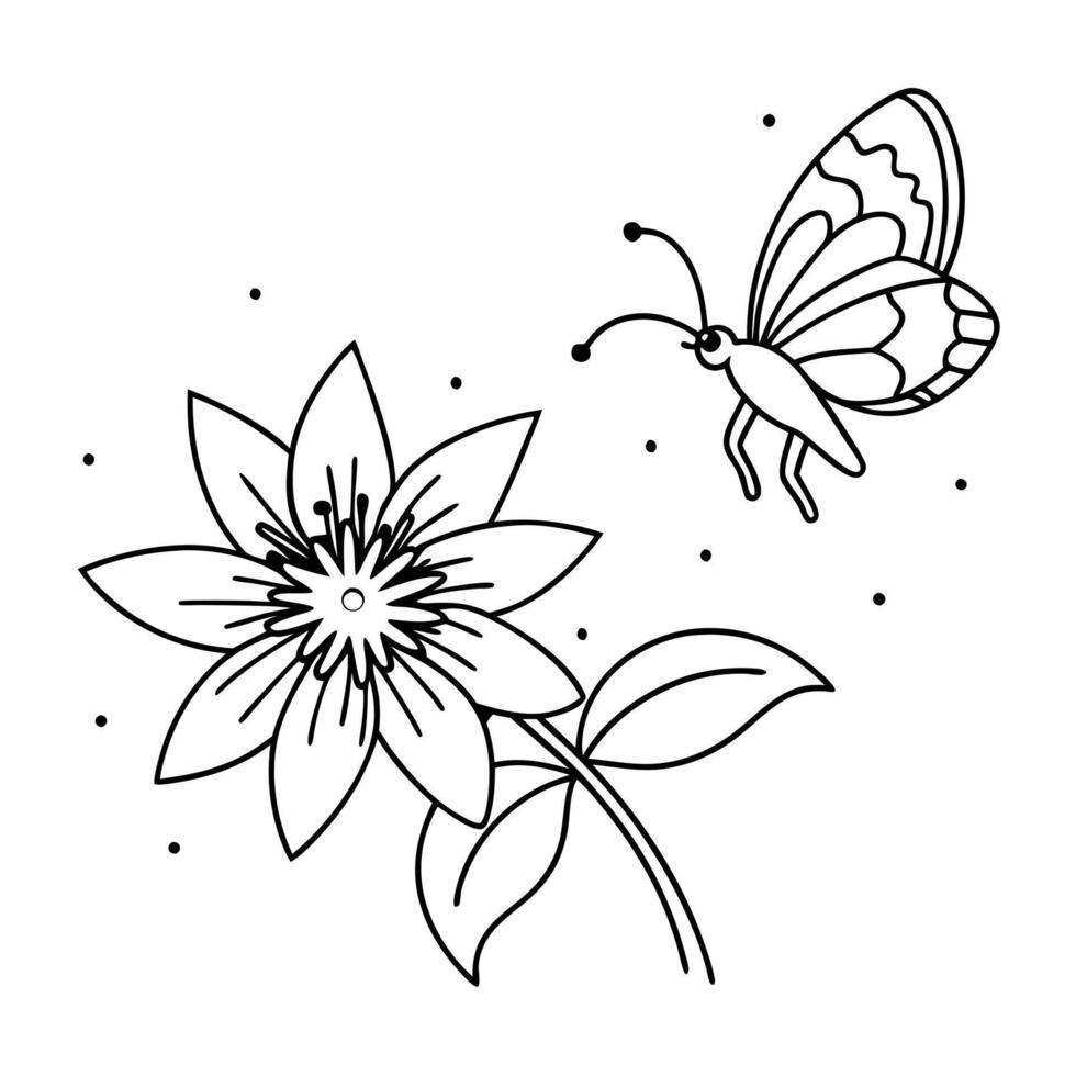 a butterfly is extracting nectar from a passiflora passion flower flower, illustration line vector