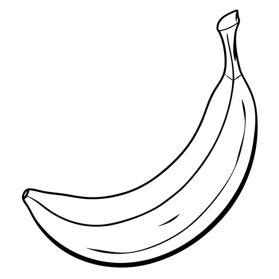 banana, illustration line art vector