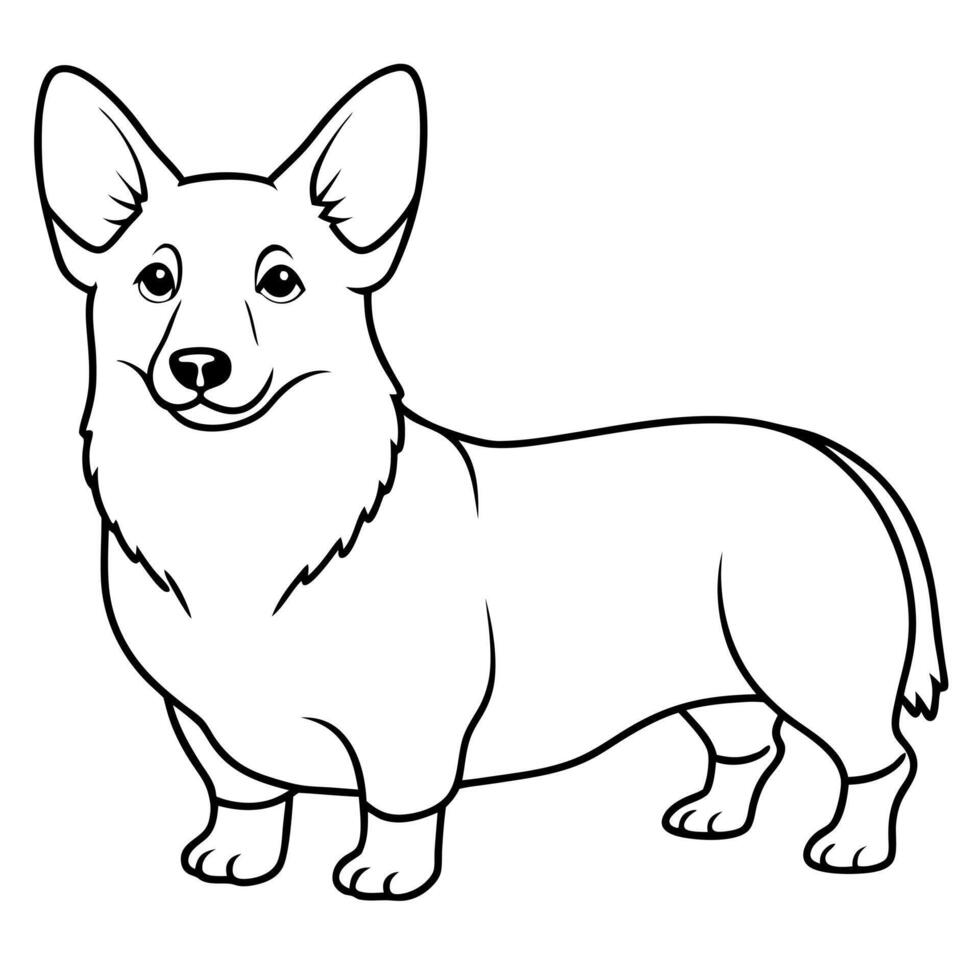 corgi standing, illustration line art vector