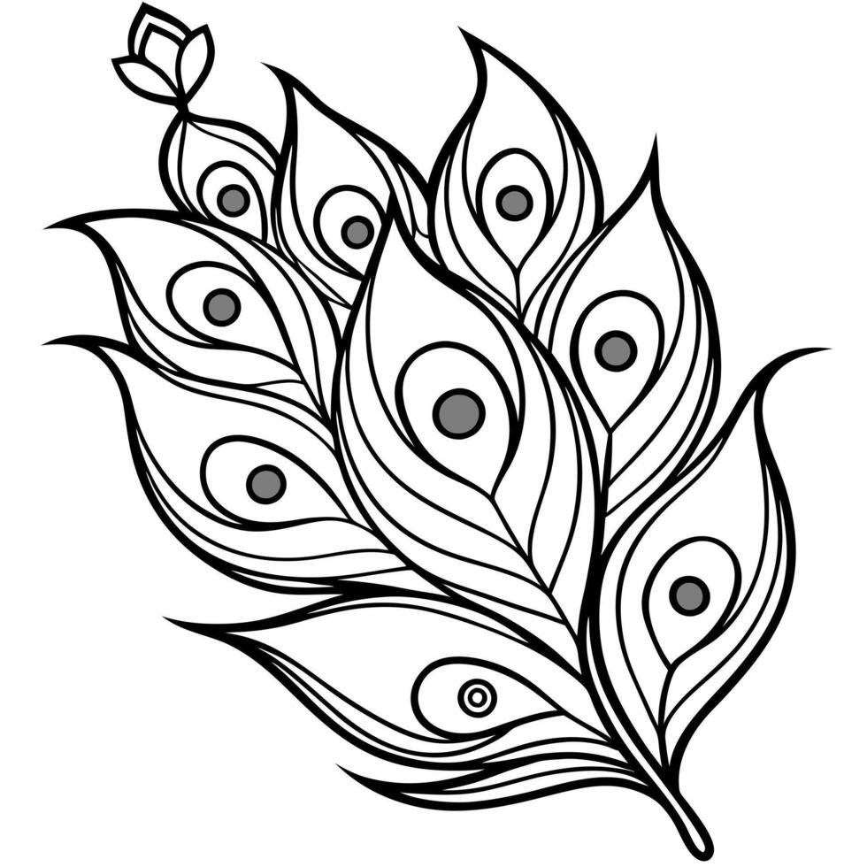 big one peacock feather, illustration line art vector