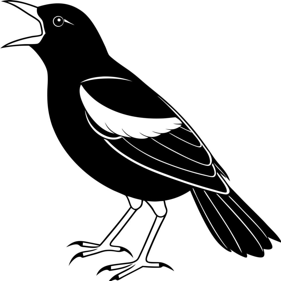 a oriole bird roar full length line art, illustration line art vector