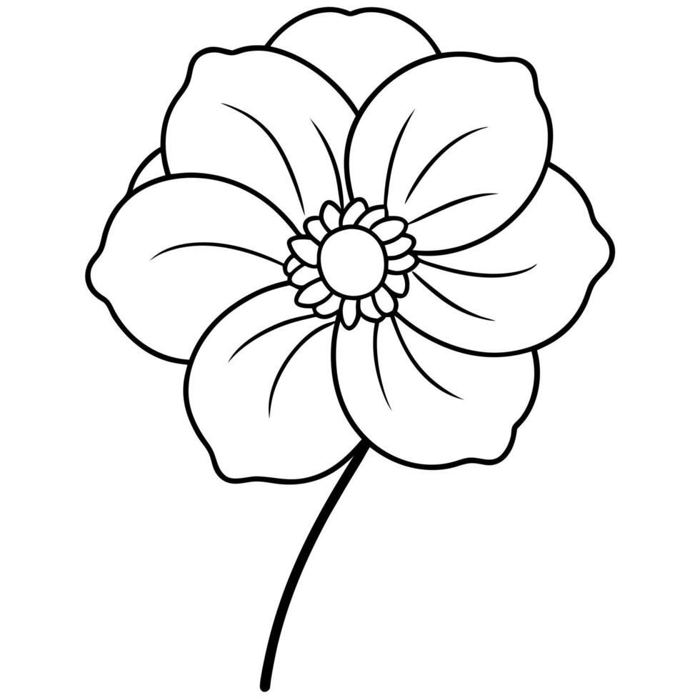 buttercup flower, illustration line art vector