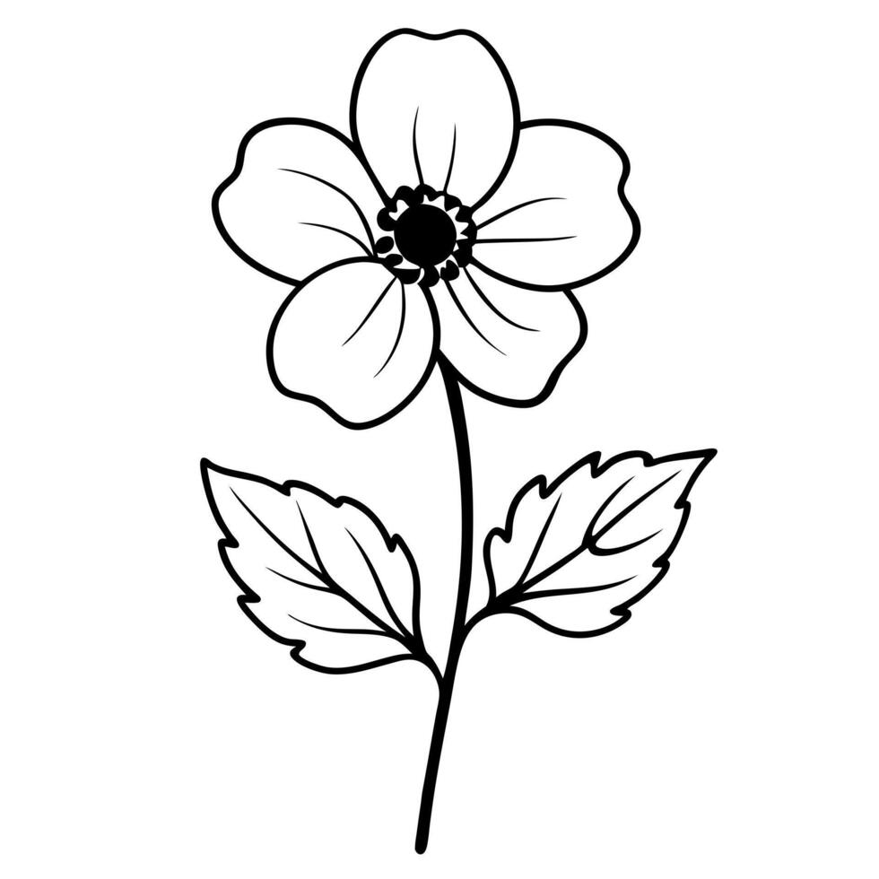 anemones flower with leaf, illustration line art vector