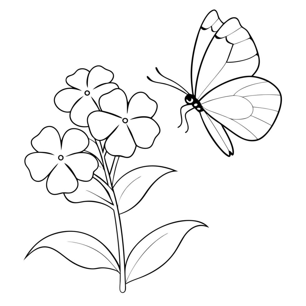 a butterfly is extracting nectar from a phlox flower, illustration line art vector