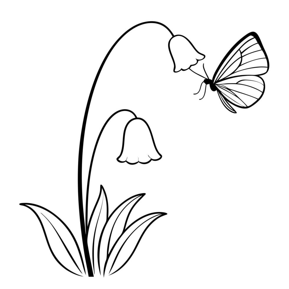 a butterfly is extracting nectar from a bluebell flower, illustration line art vector