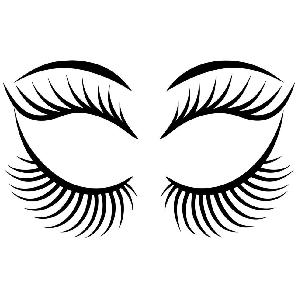 lush eyelashes, illustration line art vector