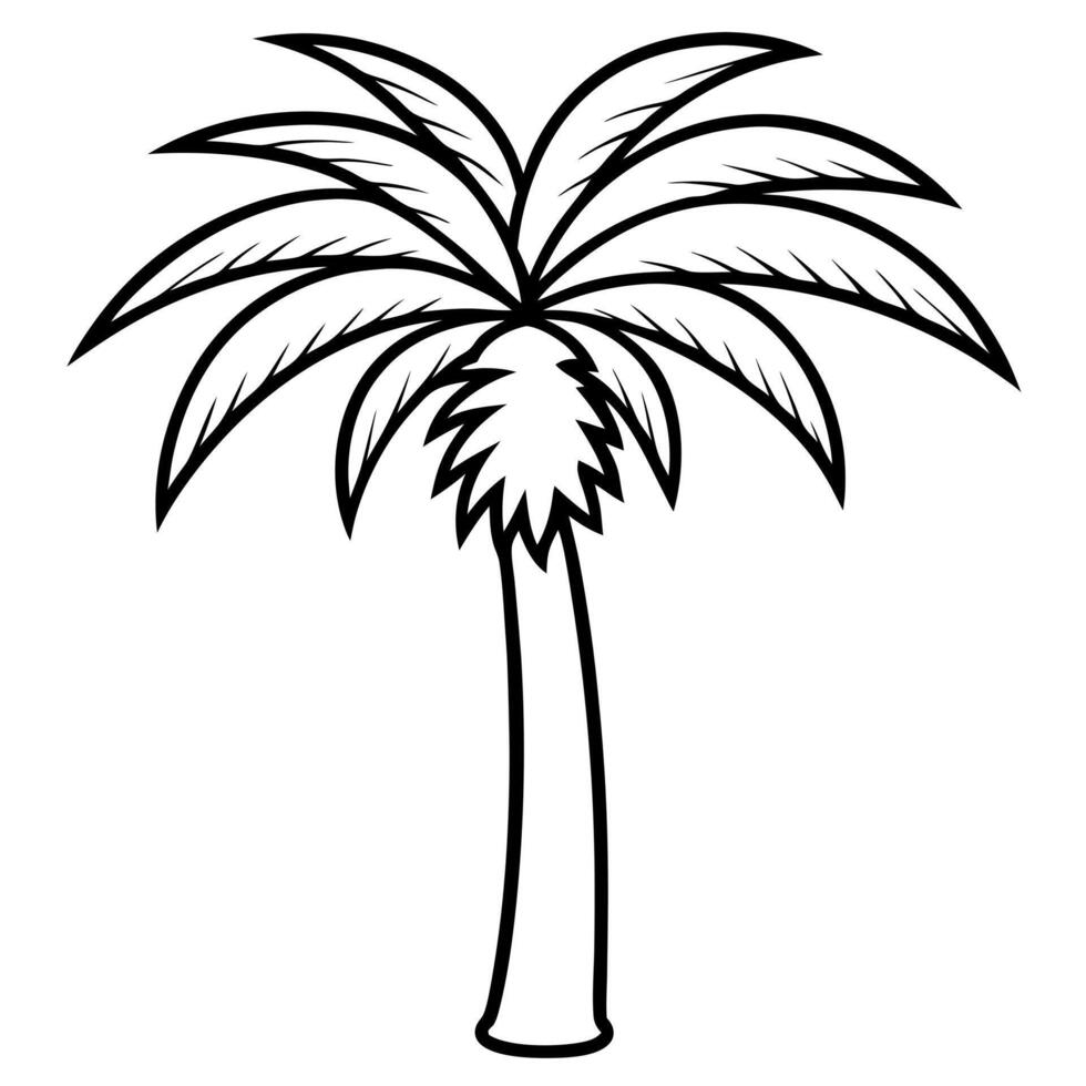 a date tree, illustration line art vector