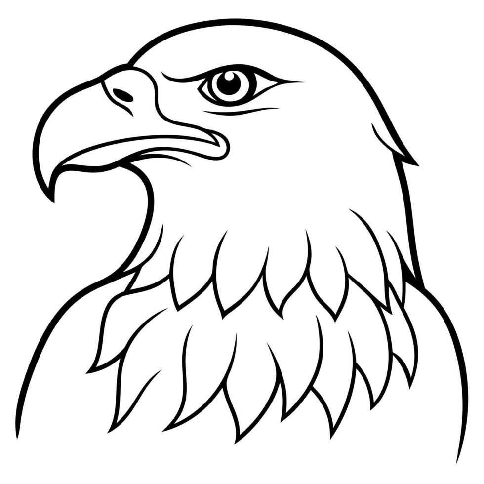 bald eagle, illustration line art vector