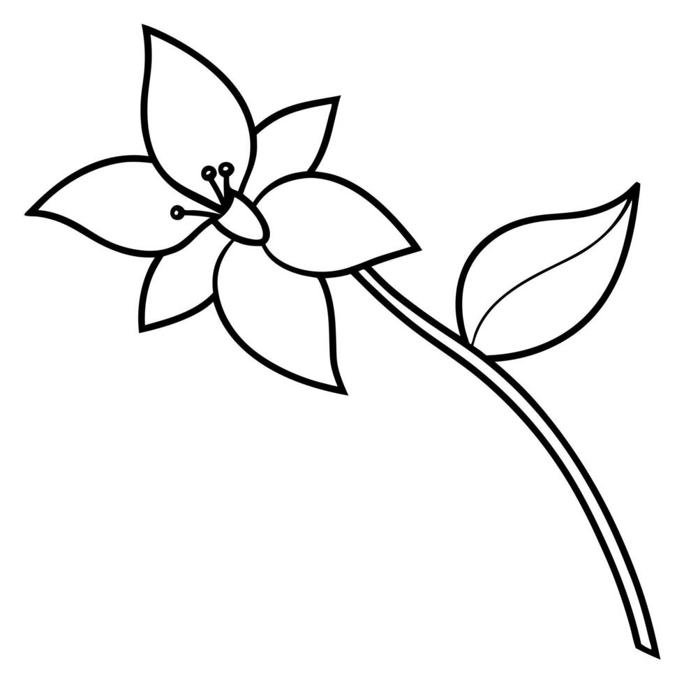 jasmine flower long branch, illustration line art vector
