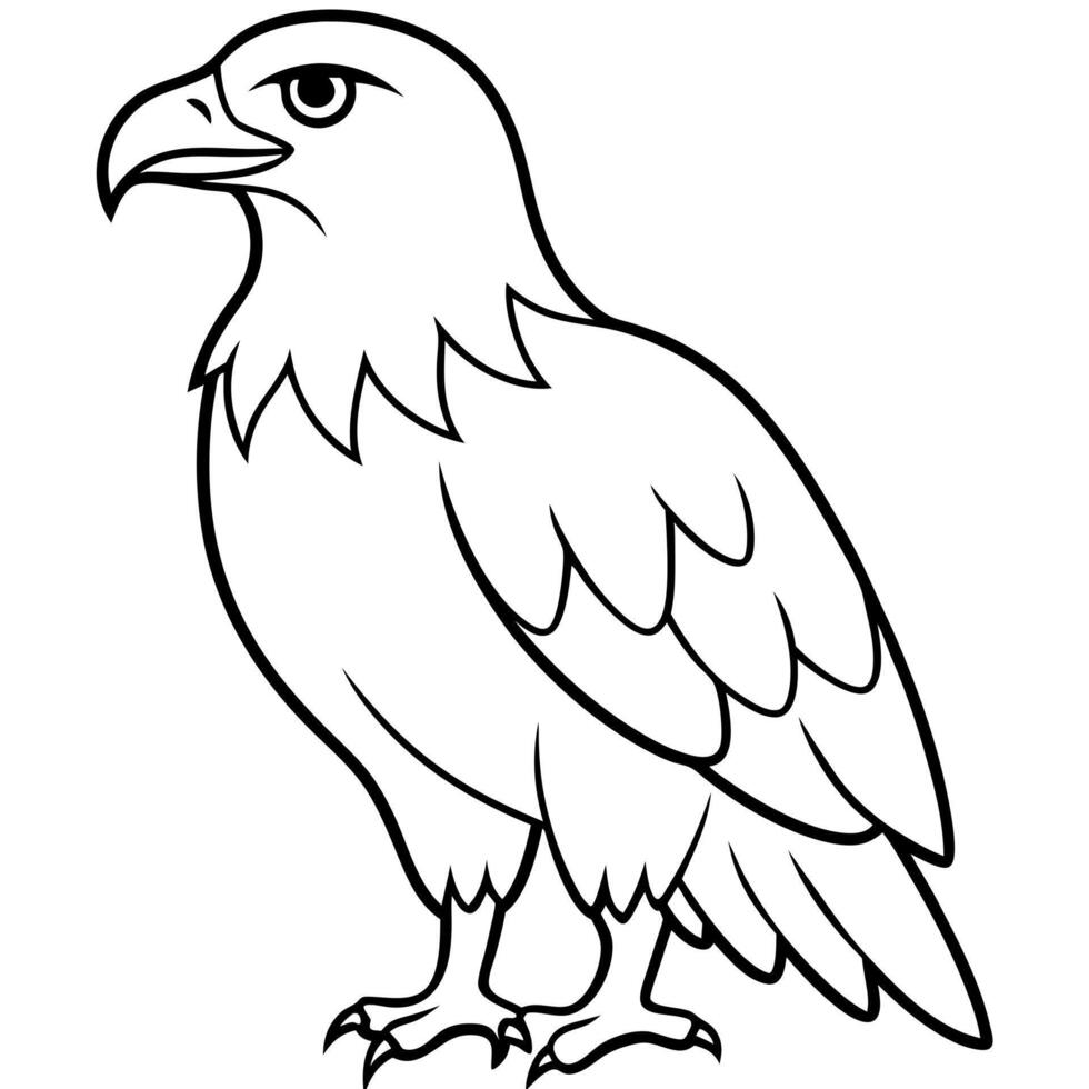 a eagle bird, illustration line art vector