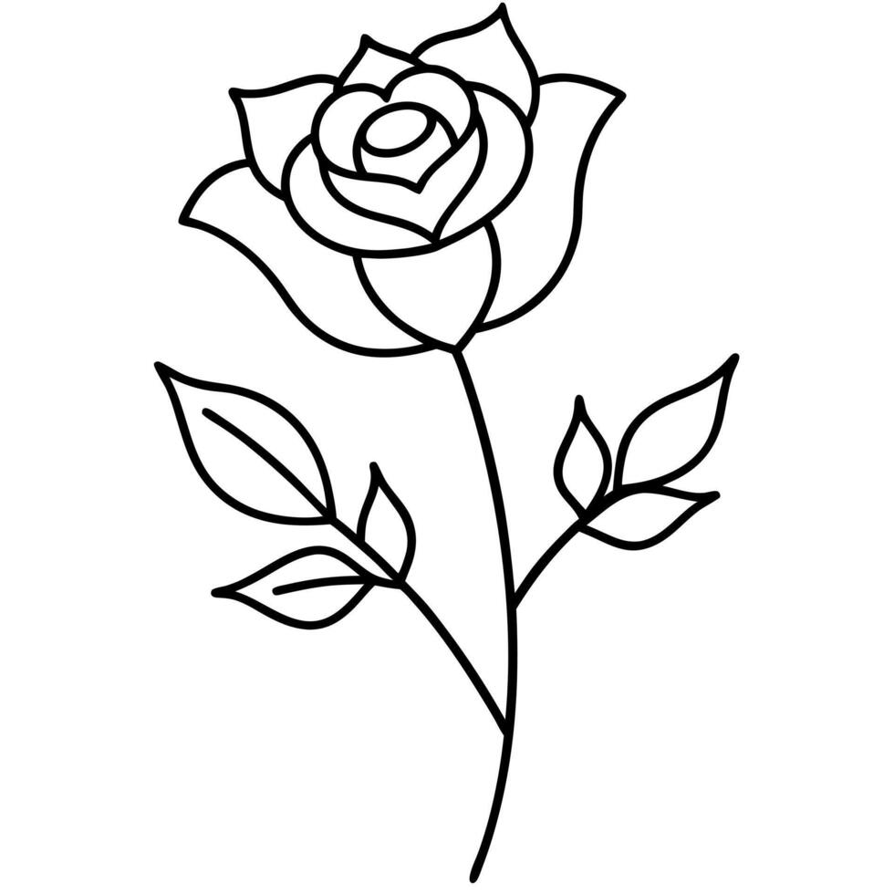 rose with brunch, illustration line art vector