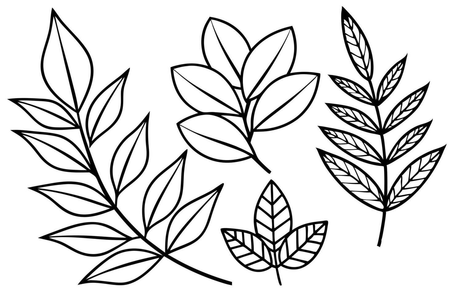 various leaves doodle collection , illustration line art vector