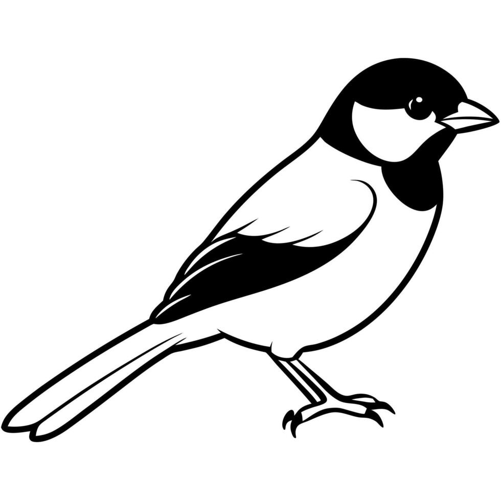 black capped chickadee eating, illustration line art vector