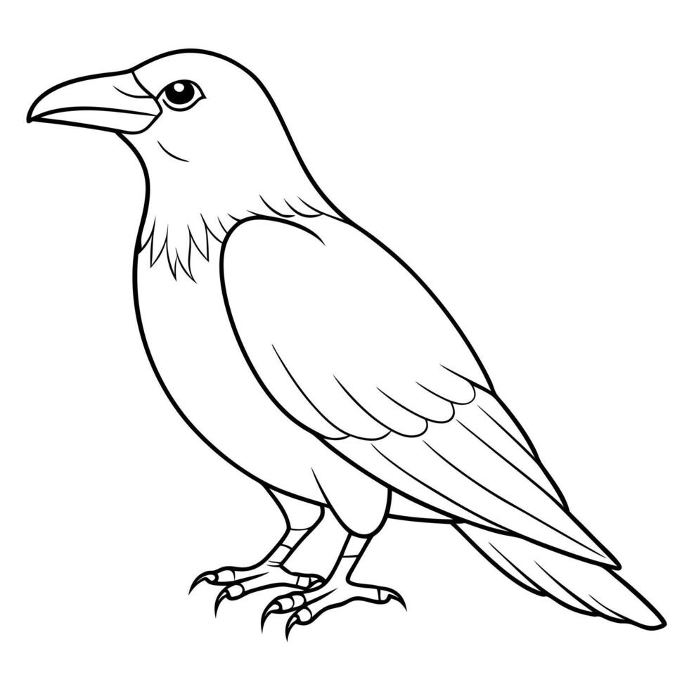 american crow sitting, illustration line art vector