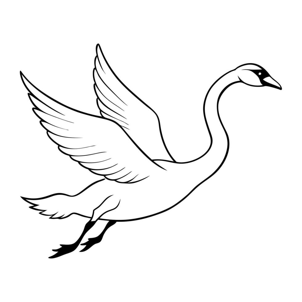 a swan is jamping, illustration line art vector