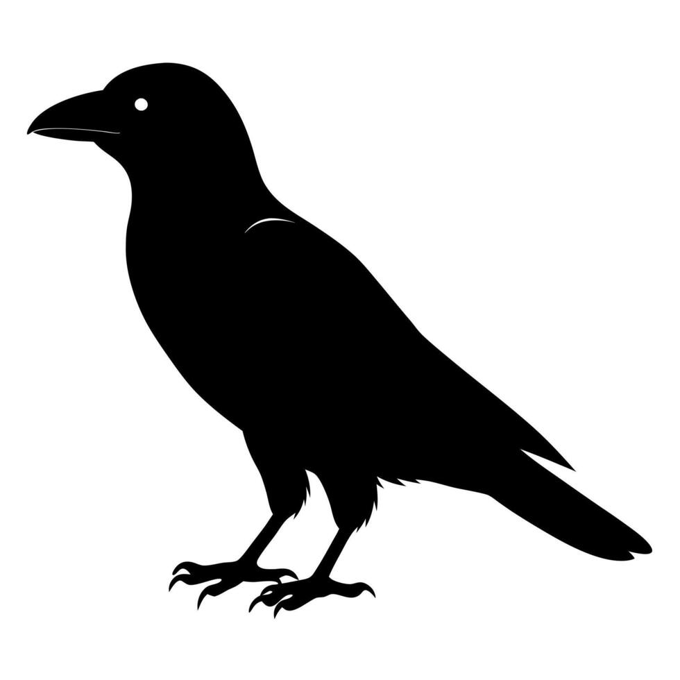 the shadow of a crow, illustration line art vector