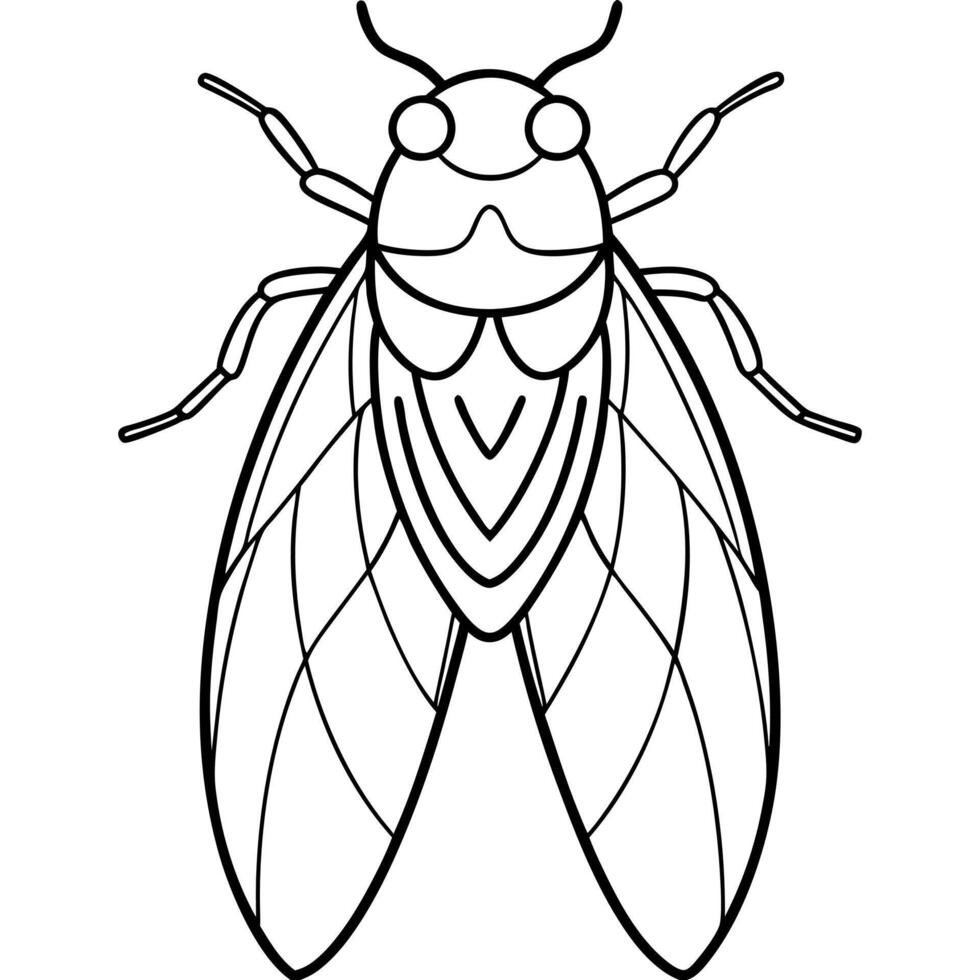 a coloring page of an cicada with no color just black lines, illustration line art vector