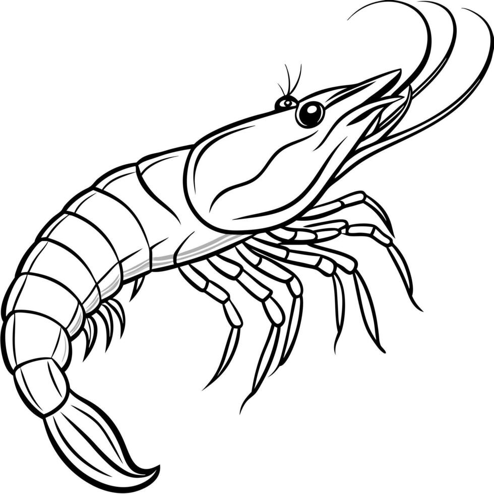 prawn brush stroke line art , white background, illustration line art vector