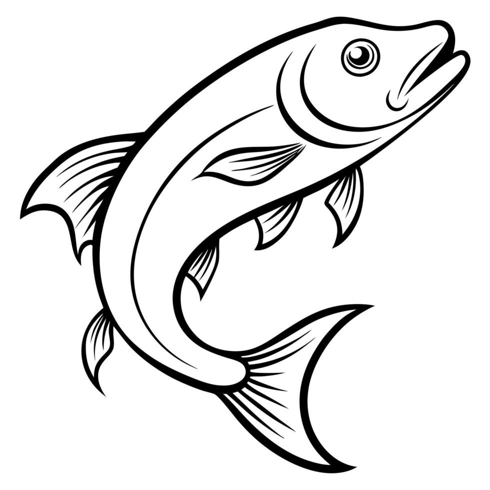barramundi fish, flying curve, single fish, white background, illustration line art vector