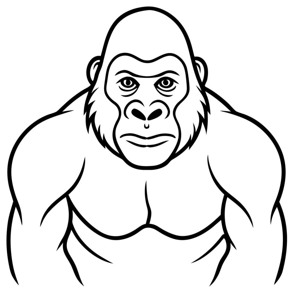 gorilla, illustration line art vector
