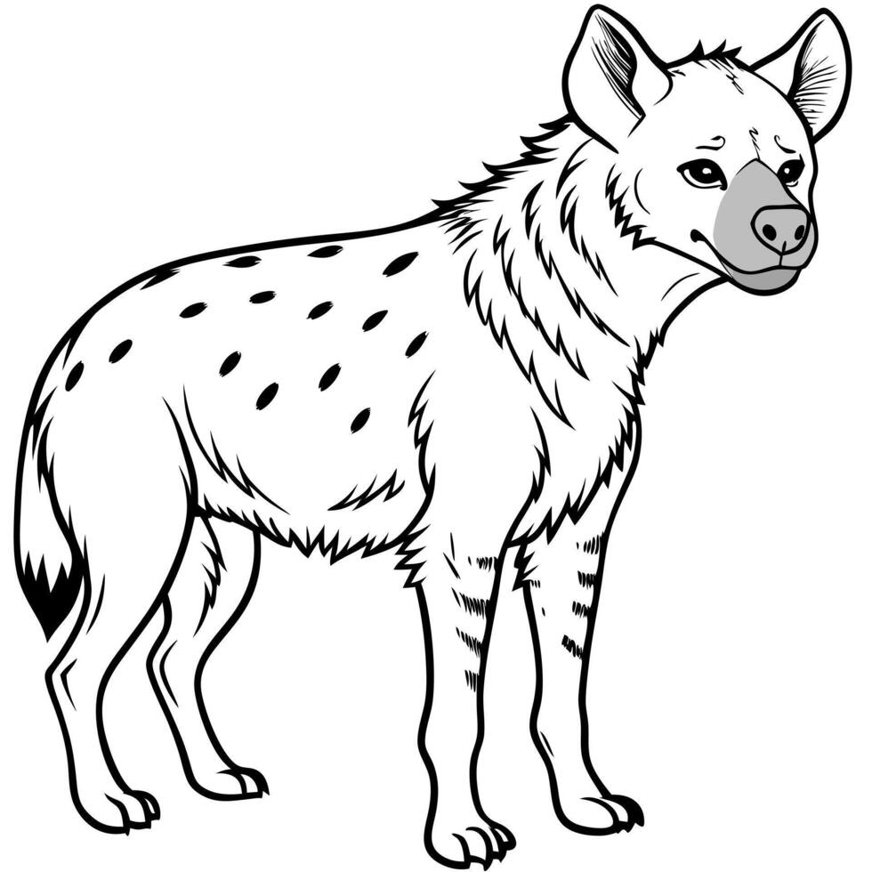 hyena, illustration line art vector