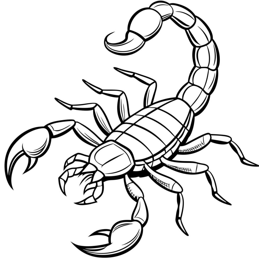 scorpion, illustration line art vector